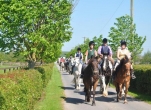 Ride a Horse through Beautiful Kildare Countryside
