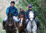  Ride a Horse through Beautiful Kildare Countryside - for Two