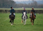 Family Horse Riding Experience for 2 Adults and 2 Children