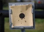 Air Rifle Shooting Experience - 50 Bird Shoots