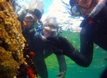 Snorkelling Session with Adventure West