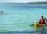 Kayak and Snorkel Adventure in Connemara