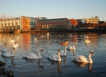 Limerick City Kayaking Tours for Two